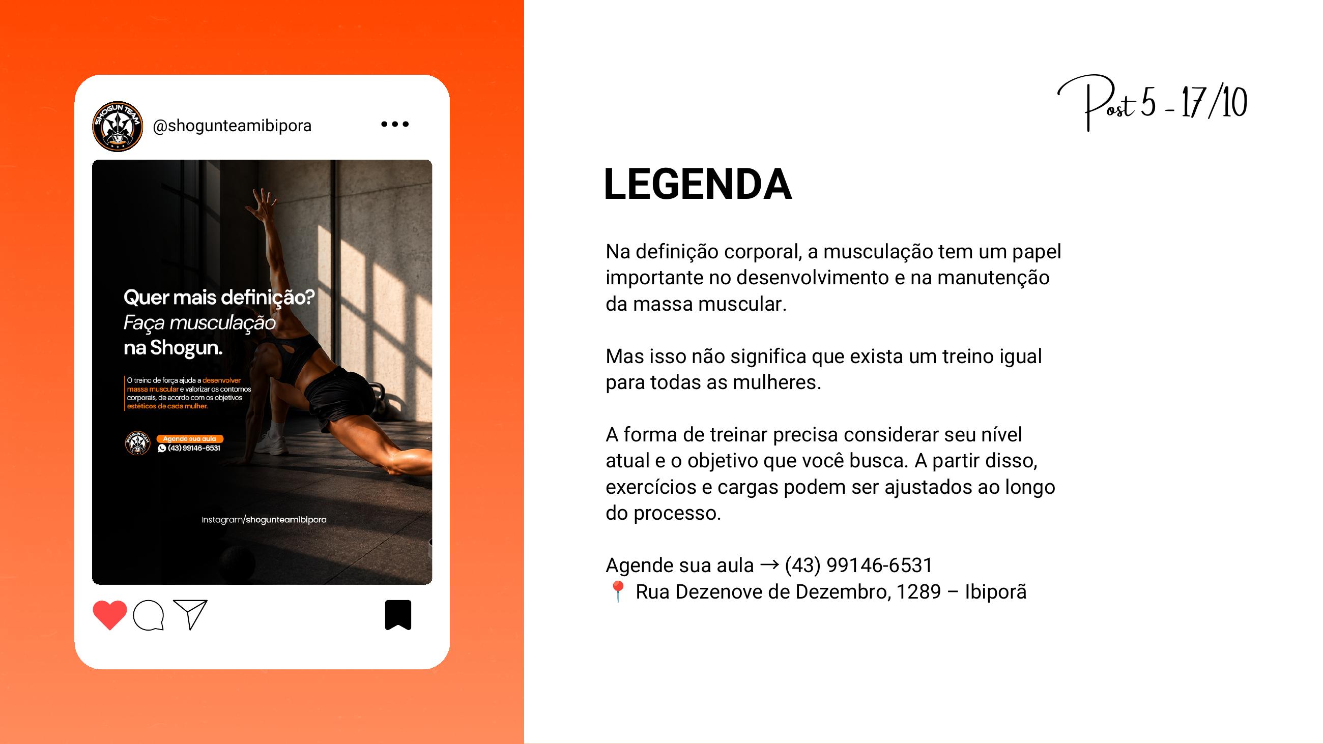 Conteúdo real Shogun Team, exemplo 5